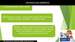 APLIKASI ELISA SANDWICH
5. Deteksi Bakteri pada tanah
Pada penelitian tersebut, menggunakan Metode DAS-ELISA yang
dievaluasi dengan mendeteksi 154 sampel tanah .
SPS Departemen Biokimia-BAKB_ELISA Sandwich
Hasilnya : Metode sandwich ELISA tidak hanya lebih
cepat dari metode kultur yang merupakan standar
emas untuk deteksi B. pseudomallei di tanah,
tetapi juga metode yang lebih sensitif.
 