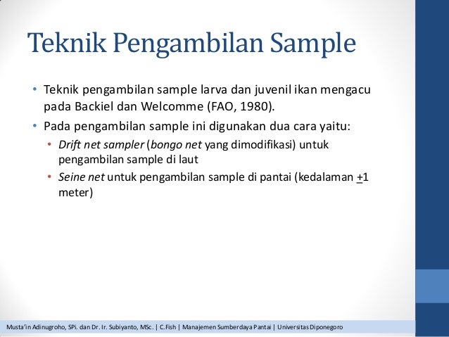 Workshop Teknik Identifikasi Larva Ikan: Studi Kasus Perairan Teluk S…