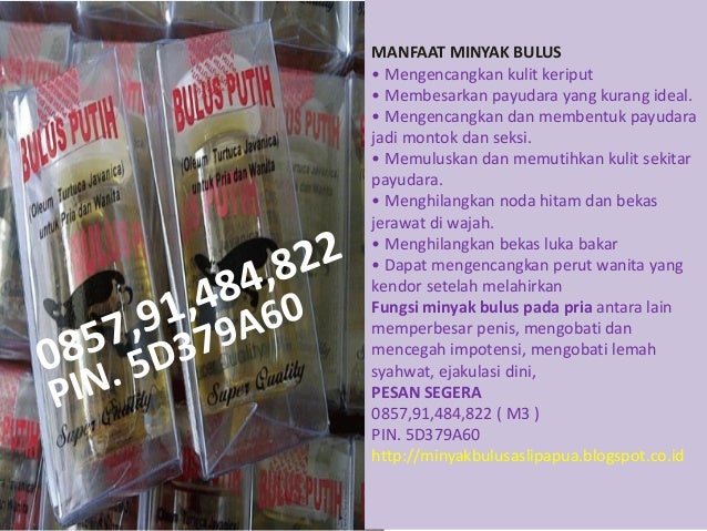 Teknik mengencangkan payudara dengan minyak bulus, cara memperbesar p…