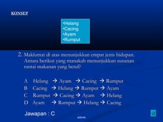 adonie
2.2. Maklumat di atas menunjukkan empat jenis hidupan.Maklumat di atas menunjukkan empat jenis hidupan.
Antara berikut yang manakah menunjukkan susunanAntara berikut yang manakah menunjukkan susunan
rantai makanan yang betul?rantai makanan yang betul?
A HelangA Helang  AyamAyam  CacingCacing  RumputRumput
B CacingB Cacing  HelangHelang  RumputRumput  AyamAyam
C RumputC Rumput  CacingCacing  AyamAyam  HelangHelang
D AyamD Ayam  RumputRumput  HelangHelang  CacingCacing
•Helang
•Cacing
•Ayam
•Rumput
Jawapan : C
KONSEP
 