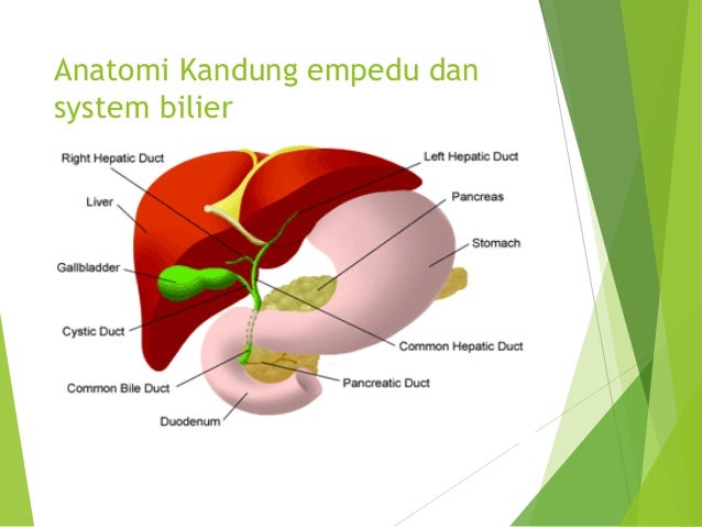 Teknik pemeriksaan colecystografy intra vena Teknik pemeriksaan colecystografy intra vena
