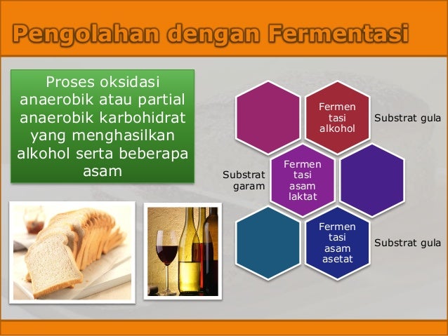 Teknik Pengolahan Pangan