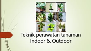 Teknik perawatan tanaman
Indoor & Outdoor
 