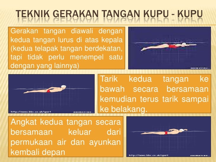 Teknik Renang Estetis untuk Pertunjukan