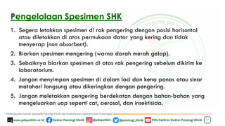 Pengelolaan Spesimen SHK
1. Segera letakkan spesimen di rak pengering dengan posisi horisontal
atau diletakkan di atas permukaan datar yang kering dan tidak
menyerap (non absorbent).
2. Biarkan spesimen mengering (warna darah merah gelap).
3. Sebaiknya biarkan spesimen di atas rak pengering sebelum dikirim ke
laboratorium.
4. Jangan menyimpan spesimen di dalam laci dan kena panas atau sinar
matahari langsung atau dikeringkan dengan pengering.
5. Jangan meletakkan pengering berdekatan dengan bahan-bahan yang
mengeluarkan uap seperti cat, aerosol, dan insektisida.
27
 