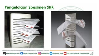 Pengelolaan Spesimen SHK
28
 