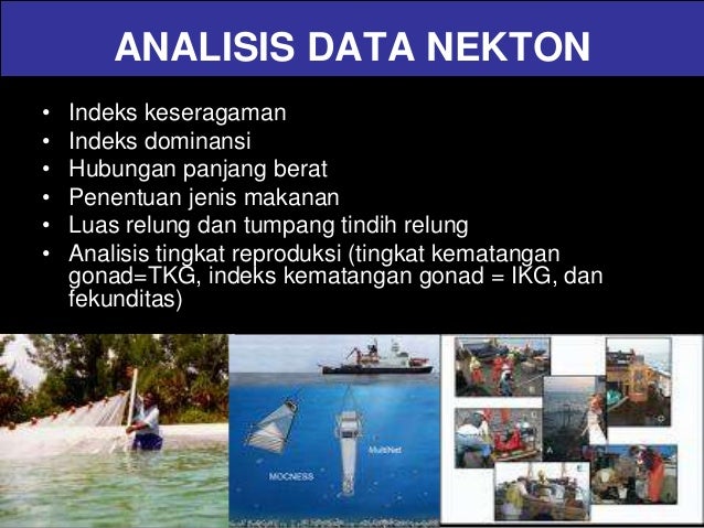 Teknik Sampling Parameter Lingkungan