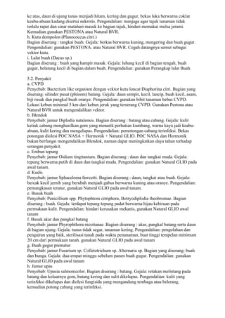 ke atas, daun di ujung tunas menjadi hitam, kering dan gugur, bekas luka berwarna coklat
keabu-abuan kadang disertai nekrotis. Pengendalian: menjaga agar tajuk tanaman tidak
terlalu rapat dan sinar matahari masuk ke bagian tajuk, hindari memakai mulsa jerami.
Kemudian gunakan PESTONA atau Natural BVR.
h. Kutu dompolon (Planococcus citri.)
Bagian diserang : tangkai buah. Gejala: berkas berwarna kuning, mengering dan buah gugur.
Pengendalian: gunakan PESTONA. atau Natural BVR. Cegah datangnya semut sebagai
vektor kutu.
i. Lalat buah (Dacus sp.)
Bagian diserang : buah yang hampir masak. Gejala: lubang kecil di bagian tengah, buah
gugur, belatung kecil di bagian dalam buah. Pengendalian: gunakan Perangkap lalat Buah.
5.2. Penyakit
a. CVPD
Penyebab: Bacterium like organism dengan vektor kutu loncat Diaphorina citri. Bagian yang
diserang: silinder pusat (phloem) batang. Gejala: daun sempit, kecil, lancip, buah kecil, asam,
biji rusak dan pangkal buah oranye. Pengendalian: gunakan bibit tanaman bebas CVPD.
Lokasi kebun minimal 5 km dari kebun jeruk yang terserang CVPD. Gunakan Pestona atau
Natural BVR untuk mengendalikan vektor.
b. Blendok
Penyebab: jamur Diplodia natalensis. Bagian diserang : batang atau cabang. Gejala: kulit
ketiak cabang menghasilkan gom yang menarik perhatian kumbang, warna kayu jadi keabu-
abuan, kulit kering dan mengelupas. Pengendalian: pemotongan cabang terinfeksi. Bekas
potongan diolesi POC NASA + Hormonik + Natural GLIO. POC NASA dan Hormonik
bukan berfungsi mengendalikan Blendok, namun dapat meningkatkan daya tahan terhadap
serangan penyakit.
c. Embun tepung
Penyebab: jamur Oidium tingitanium. Bagian diserang : daun dan tangkai muda. Gejala:
tepung berwarna putih di daun dan tangkai muda. Pengendalian: gunakan Natural GLIO pada
awal tanam.
d. Kudis
Penyebab: jamur Sphaceloma fawcetti. Bagian diserang : daun, tangkai atau buah. Gejala:
bercak kecil jernih yang berubah menjadi gabus berwarna kuning atau oranye. Pengendalian:
pemangkasan teratur, gunakan Natural GLIO pada awal tanam.
e. Busuk buah
Penyebab: Penicillium spp. Phytophtora citriphora, Botryodiplodia theobromae. Bagian
diserang : buah. Gejala: terdapat tepung-tepung padat berwarna hijau kebiruan pada
permukaan kulit. Pengendalian: hindari kerusakan mekanis, gunakan Natural GLIO awal
tanam
f. Busuk akar dan pangkal batang
Penyebab: jamur Phyrophthora nicotianae. Bagian diserang : akar, pangkal batang serta daun
di bagian ujung. Gejala: tunas tidak segar, tanaman kering. Pengendalian: pengolahan dan
pengairan yang baik, sterilisasi tanah pada waktu penanaman, buat tinggi tempelan minimum
20 cm dari permukaan tanah. gunakan Natural GLIO pada awal tanam
g. Buah gugur prematur
Penyebab: jamur Fusarium sp. Colletotrichum sp. Alternaria sp. Bagian yang diserang: buah
dan bunga. Gejala: dua-empat minggu sebelum panen buah gugur. Pengendalian: gunakan
Natural GLIO pada awal tanam
h. Jamur upas
Penyebab: Upasia salmonicolor. Bagian diserang : batang. Gejala: retakan melintang pada
batang dan keluarnya gom, batang kering dan sulit dikelupas. Pengendalian: kulit yang
terinfeksi dikelupas dan diolesi fungisida yang mengandung tembaga atau belerang,
kemudian potong cabang yang terinfeksi.
 