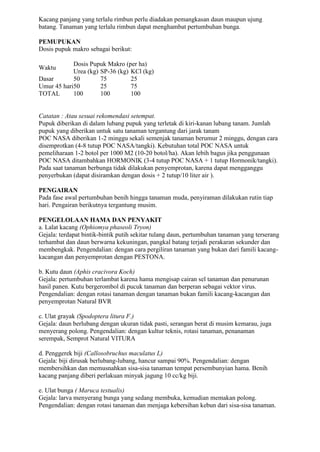 Kacang panjang yang terlalu rimbun perlu diadakan pemangkasan daun maupun ujung
batang. Tanaman yang terlalu rimbun dapat menghambat pertumbuhan bunga.
PEMUPUKAN
Dosis pupuk makro sebagai berikut:
Waktu
Dosis Pupuk Makro (per ha)
Urea (kg) SP-36 (kg) KCl (kg)
Dasar 50 75 25
Umur 45 hari50 25 75
TOTAL 100 100 100
Catatan : Atau sesuai rekomendasi setempat.
Pupuk diberikan di dalam lubang pupuk yang terletak di kiri-kanan lubang tanam. Jumlah
pupuk yang diberikan untuk satu tanaman tergantung dari jarak tanam
POC NASA diberikan 1-2 minggu sekali semenjak tanaman berumur 2 minggu, dengan cara
disemprotkan (4-8 tutup POC NASA/tangki). Kebutuhan total POC NASA untuk
pemeliharaan 1-2 botol per 1000 M2 (10-20 botol/ha). Akan lebih bagus jika penggunaan
POC NASA ditambahkan HORMONIK (3-4 tutup POC NASA + 1 tutup Hormonik/tangki).
Pada saat tanaman berbunga tidak dilakukan penyemprotan, karena dapat mengganggu
penyerbukan (dapat disiramkan dengan dosis + 2 tutup/10 liter air ).
PENGAIRAN
Pada fase awal pertumbuhan benih hingga tanaman muda, penyiraman dilakukan rutin tiap
hari. Pengairan berikutnya tergantung musim.
PENGELOLAAN HAMA DAN PENYAKIT
a. Lalat kacang (Ophiomya phaseoli Tryon)
Gejala: terdapat bintik-bintik putih sekitar tulang daun, pertumbuhan tanaman yang terserang
terhambat dan daun berwarna kekuningan, pangkal batang terjadi perakaran sekunder dan
membengkak. Pengendalian: dengan cara pergiliran tanaman yang bukan dari famili kacang-
kacangan dan penyemprotan dengan PESTONA.
b. Kutu daun (Aphis cracivora Koch)
Gejala: pertumbuhan terlambat karena hama mengisap cairan sel tanaman dan penurunan
hasil panen. Kutu bergerombol di pucuk tanaman dan berperan sebagai vektor virus.
Pengendalian: dengan rotasi tanaman dengan tanaman bukan famili kacang-kacangan dan
penyemprotan Natural BVR
c. Ulat grayak (Spodoptera litura F.)
Gejala: daun berlubang dengan ukuran tidak pasti, serangan berat di musim kemarau, juga
menyerang polong. Pengendalian: dengan kultur teknis, rotasi tanaman, penanaman
serempak, Semprot Natural VITURA
d. Penggerek biji (Callosobruchus maculatus L)
Gejala: biji dirusak berlubang-lubang, hancur sampai 90%. Pengendalian: dengan
membersihkan dan memusnahkan sisa-sisa tanaman tempat persembunyian hama. Benih
kacang panjang diberi perlakuan minyak jagung 10 cc/kg biji.
e. Ulat bunga ( Maruca testualis)
Gejala: larva menyerang bunga yang sedang membuka, kemudian memakan polong.
Pengendalian: dengan rotasi tanaman dan menjaga kebersihan kebun dari sisa-sisa tanaman.
 