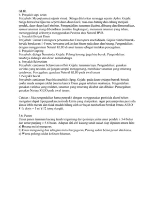 GLIO.
b. Penyakit sapu setan
Penyebab: Mycoplasma (sejenis virus). Diduga ditularkan serangga sejenis Aphis. Gejala:
bunga berwarna hijau tua seperti daun-daun kecil, ruas-ruas batang dan cabang menjadi
pendek, daun-daun kecil rimbun. Pengendalian: tanaman dicabut, dibuang dan dimusnahkan,
semua tanaman inang dibersihkan (sanitasi lingkungan), menanam tanaman yang tahan,
menanggulangi vektornya menggunakan Pestona atau Natural BVR.
c. Penyakit Bercak Daun
Penyebab : Jamur Cercospora personata dan Cercospora arachidicola. Gejala: timbul bercak-
bercak berukuran 1-5 mm, berwarna coklat dan hitam pada daun dan batang. Pengendalian:
dengan menggunakan Natural GLIO di awal tanam sebagai tindakan pencegahan.
d. Penyakit Gapong
Penyebab: diduga Nematoda. Gejala: Polong kosong, juga bisa busuk. Pengendalian:
tanahnya didangir dan dicari nematodanya.
e. Penyakit Sclerotium
Penyebab: cendawan Sclerotium rolfsii. Gejala: tanaman layu. Pengendalian: gunakan
varietas yang resisten, air jangan sampai menggenang, membakar tanaman yang terserang
cendawan. Pencegahan: gunakan Natural GLIO pada awal tanam
f. Penyakit Karat
Penyebab: cendawan Puccinia arachidis Speg. Gejala: pada daun terdapat bercak-bercak
coklat muda sampai coklat (warna karat). Daun gugur sebelum waktunya. Pengendalian:
gunakan varietas yang resisten, tanaman yang terserang dicabut dan dibakar. Pencegahan:
gunakan Natural GLIO pada awal tanam.
Catatan : Jika pengendalian hama penyakit dengan menggunakan pestisida alami belum
mengatasi dapat dipergunakan pestisida kimia yang dianjurkan. Agar penyemprotan pestisida
kimia lebih merata dan tidak mudah hilang oleh air hujan tambahkan Perekat Perata AERO
810, dosis + 5 ml (1/2 tutup)/tangki.
3.6. Panen
Umur panen tanaman kacang tanah tergantung dari jenisnya yaitu umur pendek ± 3-4 bulan
dan umur panjang ± 5-6 bulan. Adapun ciri-ciri kacang tanah sudah siap dipanen antara lain:
a) Batang mulai mengeras.
b) Daun menguning dan sebagian mulai berguguran, Polong sudah berisi penuh dan keras.
c) Warna polong coklat kehitam-hitaman.
 