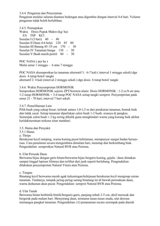 3.4.4. Pengairan dan Penyiraman
Pengairan melalui saluran diantara bedengan atau digembor dengan interval 4-6 hari. Volume
pengairan tidak boleh berlebihan.
3.4.5. Pemupukan
Waktu Dosis Pupuk Makro (kg/ ha)
ZA TSP KCl
Susulan I (3 hari) 40 - 40
Susulan II Daun 4-6 helai 120 85 80
Susulan III Batang 45–55 cm 170 - 30
Susulan IV Tanaman bunga 130 - 30
Susulan V Buah masih pentil 80 - 30
POC NASA ( per ha )
Mulai umur 1 minggu – 6 atau 7 minggu
POC NASA disemprotkan ke tanaman alternatif 1: 6-7 kali ( interval 1 minggu sekali) dgn
dosis 4 tutup botol/ tangki
alternatif 2: 4 kali (interval 2 minggu sekali ) dgn dosis 6 tutup botol/ tangki
3.4.6. Waktu Penyemprotan HORMONIK
Semprotkan HORMONIK sejenis ZPT/hormon alami. Dosis HORMONIK : 1-2 cc/lt air atau
1-2 tutup HORMONIK + 3-4 tutup POC NASA setiap tangki semprot. Penyemprotan pada
umur 21 - 70 hari, interval 7 hari sekali.
3.4.7. Pemeliharaan Lain
Pilih buah yang cukup besar, terletak antara 1,0-1,5 m dari perakaran tanaman, bentuk baik
dan tidak cacat. Setiap tanaman diperlukan calon buah 1-2 buah, sisanya di pangkas.
Semenjak calon buah ± 2 kg sering dibalik guna menghindari warna yang kurang baik akibat
ketidakmerataan terkena sinar matahari.
3.5. Hama dan Penyakit
3.5.1 Hama
a. Thrips
Berukuran kecil ramping, warna kuning pucat kehitaman, mempunyai sungut badan beruas-
ruas. Cara penularan secara mengembara dimalam hari, menetap dan berkembang biak.
Pengendalian: semprotkan Natural BVR atau Pestona.
b. Ulat Perusak Daun
Berwarna hijau dengan garis hitam/berwarna hijau bergaris kuning, gejala : daun dimakan
sampai tinggal lapisan lilinnya dan terlihat dari jauh seperti berlubang. Pengendalian:
dilakukan penyemprotan Natural Vitura atau Pestona.
c. Tungau
Binatang kecil berwarna merah agak kekuningan/kehijauan berukuran kecil mengisap cairan
tanaman. Tandanya, tampak jaring-jaring sarang binatang ini di bawah permukaan daun,
warna dedaunan akan pucat. Pengendalian: semprot Natural BVR atau Pestona.
d. Ulat Tanah
Berwarna hitam berbintik-bintik/bergaris-garis, panjang tubuh 2-5 cm, aktif merusak dan
bergerak pada malam hari. Menyerang daun, terutama tunas-tunas muda, ulat dewasa
memangsa pangkal tanaman. Pengendalian: (1) penanaman secara serempak pada daerah
 