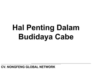 Hal Penting Dalam 
Budidaya Cabe 
CV. NONGFENG GLOBAL NETWORK 
 