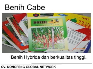 Benih Cabe 
Benih Hybrida dan berkualitas tinggi. 
CV. NONGFENG GLOBAL NETWORK 
 