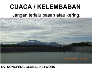 CUACA / KELEMBABAN 
JJaannggaann tteerrllaalluu bbaassaahh aattaauu kkeerriinngg.. 
CV. NONGFENG GLOBAL NETWORK 
 