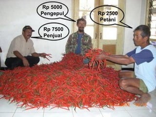 Rp. 2.500,- 
Per kg 
Rp. 5.000,- 
Per kg 
Rp. 7.500,- 
Per kg 
Rp 2500 
Petani 
Rp 5000 
Pengepul 
Rp 7500 
Penjual 
