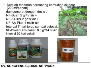 • Setelah tanaman bercabang kemudian dikocor 
(200ml/pohon) 
dan semprot dengan dosis : 
NF-Buah 5 gr/ltr air + 
NF-KalsiN 2 gr/ltr air + 
NF-AA Plus 1 ml/ltr air 
Interval 7 hari terus sampai selesai. 
NF-Power Gibs dosis : 0.5 gr/14 ltr air 
Interval 30 hari sekali. 
CV. NONGFENG GLOBAL NETWORK 
 