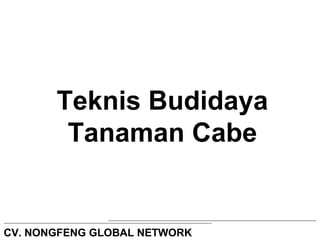 Teknis Budidaya 
Tanaman Cabe 
CV. NONGFENG GLOBAL NETWORK 
 