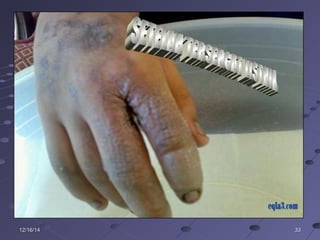 333312/16/1412/16/14
 