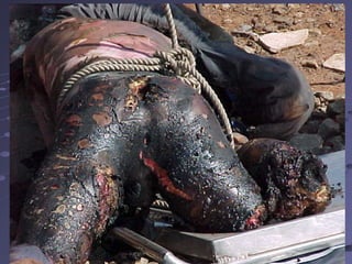 434312/16/1412/16/14
 