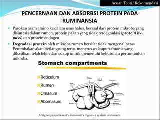 PENCERNAAN DAN ABSORBSI PROTEIN PADA
RUMINANSIA
 Pasokan asam amino ke dalam usus halus, berasal dari protein mikroba yang
disintesis dalam rumen, protein pakan yang tidak terdegradasi (protein by-
pass) dan protein endogen
 Degradasi protein oleh mikroba rumen bersifat tidak mengenal batas.
Perombakan akan berlangsung terus-menerus walaupun amonia yang
dihasilkan telah lebih dari cukup untuk memenuhi kebutuhan pertumbuhan
mikroba.
Acuan Teori/ Rekomendasi
 