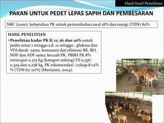 PAKAN UNTUK PEDET LEPAS SAPIH DAN PEMBESARAN
HASIL PENELITIAN
•Penelitian kadar PK 8; 12; 16; dan 20% untuk
pedet umur 1 minggu s.d. 12 minggu : glukosa dan
VFA darah sama, konsumsi dan efisiensi BK, BO,
NDF dan ADF sama; kecuali PK. PBBH PK 8%
mencapai 0,375 kg (kategori sedang) VS 0,336;
0,329 dan 0,258 kg. PK rekomendasi : cukup 8-12%
% (TDN 67-70%) (Mariyono, 2004).
NRC (2000), kebutuhan PK untuk pertumbuhan awal 18% dan energi (TDN) 80%
Hasil-hasil Penelitian
 