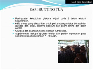 SAPI BUNTING TUA
 Peningkatan kebutuhan glukosa terjadi pada 3 bulan terakhir
kebuntingan.
 63% energi yang dibutuhkan untuk perkembangan fetus berasal dari
glukosa dan laktat, sisanya dipenuhi dari asam amino dan asam
asetat.
 Glukosa dan asam amino merupakan nutrisi kritis.
 Suplementasi berupa by pass energi dan protein diperlukan pada
sapi induk usia kebuntingan 7 – 9 bulan.
Hasil-hasil Penelitian
 