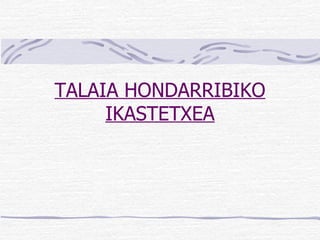 TALAIA HONDARRIBIKO IKASTETXEA 