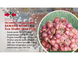 TECHNOLOGY BUDIDAYA
BAWANG MERAH BIJI
True Shallot Seed (TSS)
- Ewindo sendiri menjadi pioneer
pengembangan TSS di Indonesia.
- Program breeding sudah dirintis sejak
30 tahun yang lalu tepatnya Tahun
1990, dan 16 tahun kemudian di tahun
2006 kami mengenalkan produk TSS
pertama kami yaitu TUK-TUK.
 