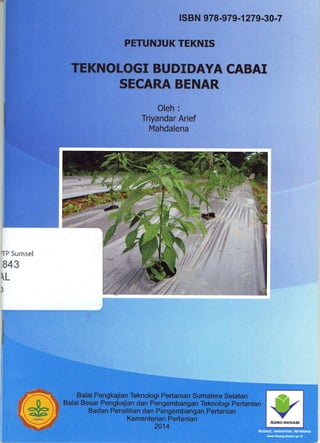 Teknologi budidaya cabai secara benar