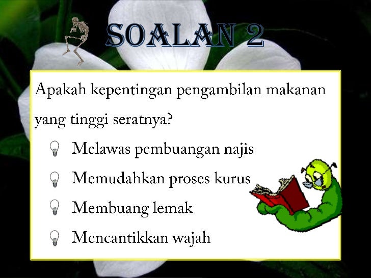 BBM Makanan Seimbang