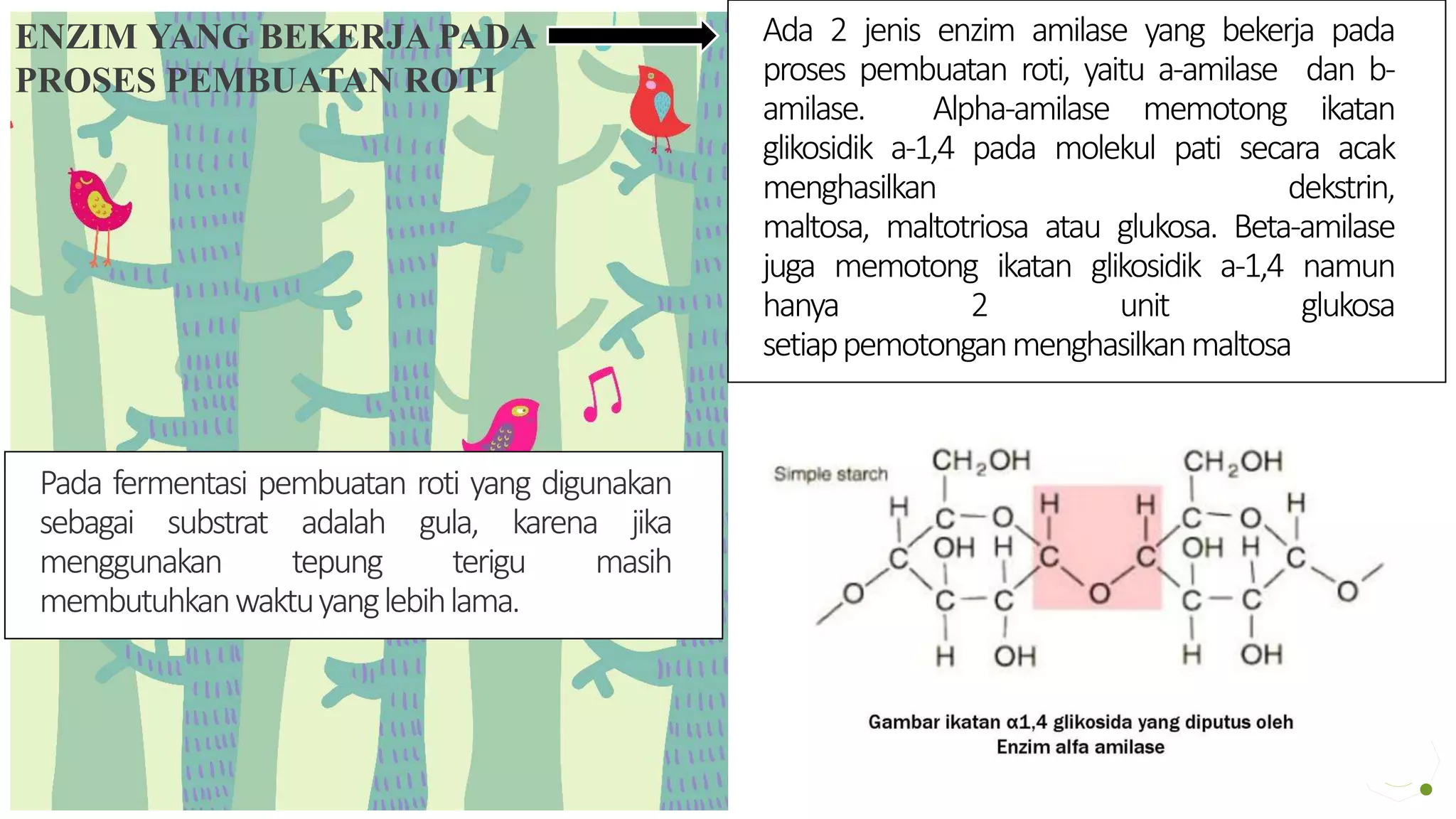 Teknologi Fermentasi Pada Pembuatan Roti | PPTX