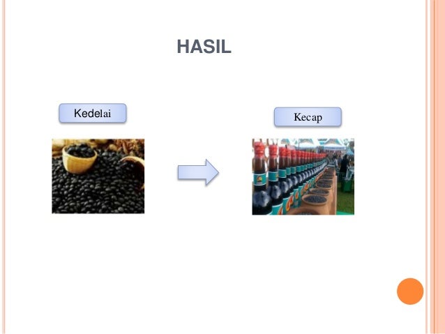 Teknologi fermentasi kecap