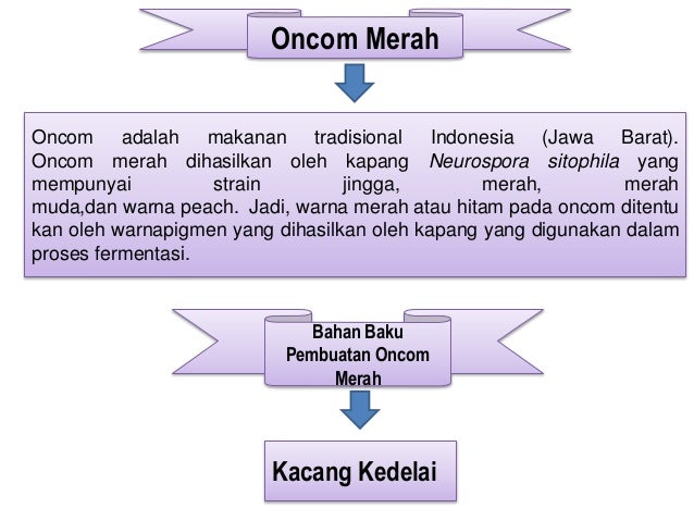 Teknologi Fermentasi Oncom Al Fata Anugrah Tirsan Budiawan