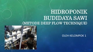 HIDROPONIK
BUDIDAYA SAWI
(METODE DEEP FLOW TECHNIQUE)
OLEH KELOMPOK 1
 