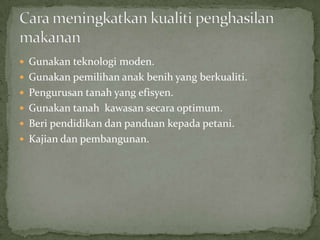  Gunakan teknologi moden.
 Gunakan pemilihan anak benih yang berkualiti.
 Pengurusan tanah yang efisyen.
 Gunakan tanah kawasan secara optimum.
 Beri pendidikan dan panduan kepada petani.
 Kajian dan pembangunan.
 