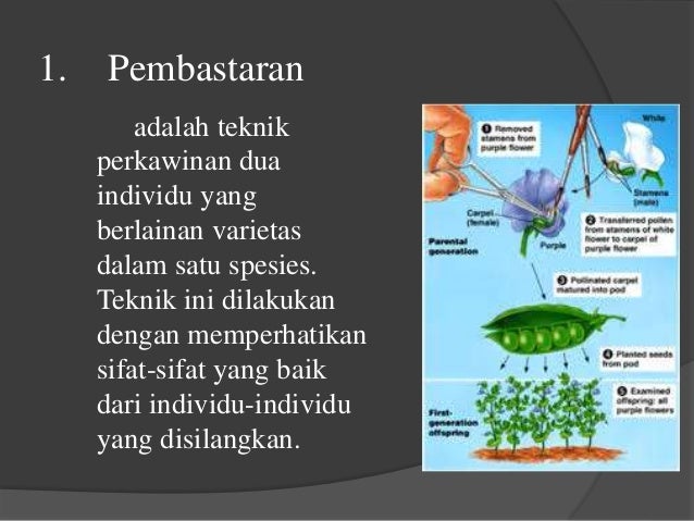 Teknologi reproduksi