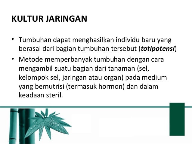 Teknologi Reproduksi Tanaman