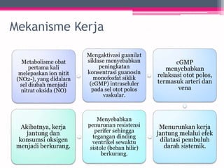 Mekanisme Kerja
Metabolisme obat
pertama kali
melepaskan ion nitit
(NO2-), yang didalam
sel diubah menjadi
nitrat oksida (NO)
Mengaktivasi guanilat
siklase menyebabkan
peningkatan
konsentrasi guanosin
monofosfat siklik
(cGMP) intraseluler
pada sel otot polos
vaskular.
cGMP
menyebabkan
relaksasi otot polos,
termasuk arteri dan
vena
Menurunkan kerja
jantung melalui efek
dilatasi pembuluh
darah sistemik.
Menyebabkan
penurunan resistensi
perifer sehingga
tegangan dinding
ventrikel sewaktu
sistole (beban hilir)
berkurang.
Akibatnya, kerja
jantung dan
konsumsi oksigen
menjadi berkurang.
 