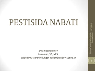 PESTISIDA NABATI
Disampaikan oleh
Juniawan, SP., M.Si.
Widyaiswara Perlindungan Tanaman BBPP Ketindan
16/05/2013
TeknologiTepatGunaPembuatan
PestisidaNabati
1
 