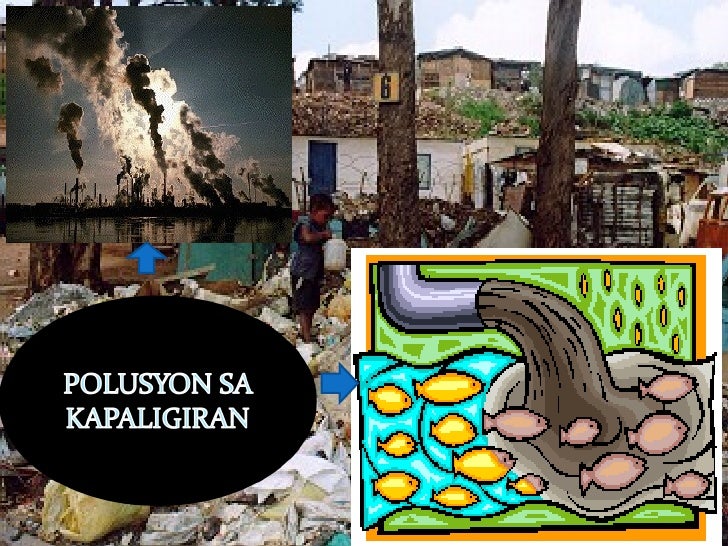 teknolohiya sa pangangalaga sa kalagayang ekolohikal 11 komunikasyon at pananaliksik sa wika at kulturang pilipino talaan ng mga gawain (unang kwarter) department of education june 2016 i komunikasyon at pananaliksik sa wika at kulturang pilipino baitang 11 talaan ng nilalaman linggo gawain 1 araw 1 (pangkalahatang 1. teknolohiya sa pangangalaga sa kalagayang ekolohikal 11 komunikasyon at pananaliksik sa wika at kulturang pilipino talaan ng mga gawain (unang kwarter) department of education june 2016 i komunikasyon at pananaliksik sa wika at kulturang pilipino baitang 11 talaan ng nilalaman linggo gawain 1 araw 1 (pangkalahatang 1.