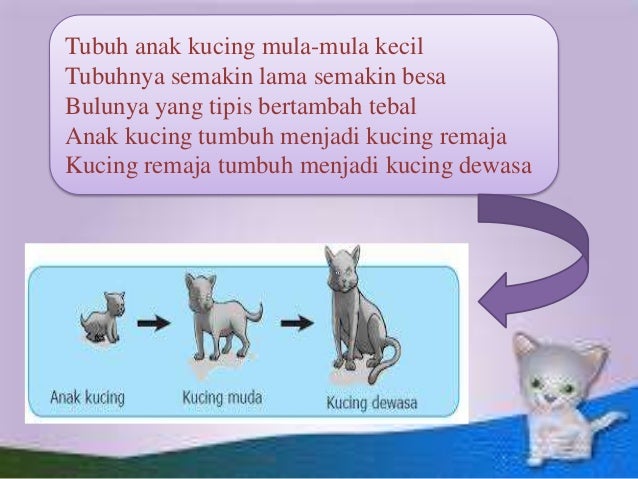 750+ Gambar Hewan Dan Tumbuh Tumbuhan Gratis