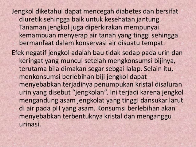 Cerita Teks Observasi Rumi Books