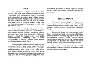 JERUK
Jeruk merupakan buah yang termasuk ke dalam
spesies citrus.Buah jeruk sendiri berasal dari daerah
Cina Selatan, India, dan Myanmar. Saat ini, tumbuhan
jeruk merupakan tumbuhan yang paling banyak
dibudidayakan. Brazil merupakan produsen terbesar
dari buah jeruk diikuti oleh Cina dan India. Konsumsi
jeruk yang tinggi di berbagai belahan dunia juga
mendorong terhadap produksinya yang semakin naik
dari tahun ke tahun.
Jeruk sendiri memiliki banyak jenis dan setiap
jenis memiliki karakteristik tersendiri. Ada buah jeruk
yang memiliki segmen yang bisa dipisahkan, namun
ada juga yang tidak bisa dipisahkan. Walaupun
awalnya berasal dari negara-negara Asia, pada
perkembangannya sekarang, jeruk sudah
dibudidayakan di seluruh penjuru dunia karena
permintaannya yang sangat tinggi.
Sebagian besarjenis dari spesiesjerukmemiliki
kandungan vitamin C yang cukup tinggi. Vitamin ini
sangat baik untuk mendukung kesehatan gusi serta
mempertahankan daya tahan tubuh yang lebih
kuat. Selain manfaat kesehatan, jeruk juga sering
digunakan untuk membuat berbagaimacam makanan
yang enak dan minuman yang menyegarkan. Jadi
tidak heran jika buah ini sering dijadikan sebagai
bahan dalam pembuatan berbagai makanan dan
minuman.
RESAPAN BIOPORI
Penanaman resapan biopori air hujan perlu
diperbanyak saat musim hujan seperti sekarang.
Selain sebagai penampung air hujan dalam tanah,
resapan biopori memberi manfaat bagi lingkungan
hidup.
Resapan air biopori yang ditanam saat musim
hujan, memudahkan tanah menyerap air. Alat ini juga
memberi dampak baik bagi lingkungan hidup karena
memanfaatkan sampah organik. Volume sampah
rumah tangga dapat berkurang bila sebagian besar
dikumpulkan dan dijadikan alat resapan air. Bahan
organik tersebut akan memberi nutrisi pada tanah.
Agar tanah semakin sehat dan hujan tidak
menggenang di permukaan tanah, maka perlu tanam
resapan biopori di banyak titik.
 