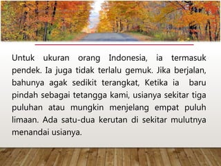 Untuk ukuran orang Indonesia, ia termasuk
pendek. Ia juga tidak terlalu gemuk. Jika berjalan,
bahunya agak sedikit terangkat, Ketika ia baru
pindah sebagai tetangga kami, usianya sekitar tiga
puluhan atau mungkin menjelang empat puluh
limaan. Ada satu-dua kerutan di sekitar mulutnya
menandai usianya.
www.yulius-kendek.blogspot.com
 