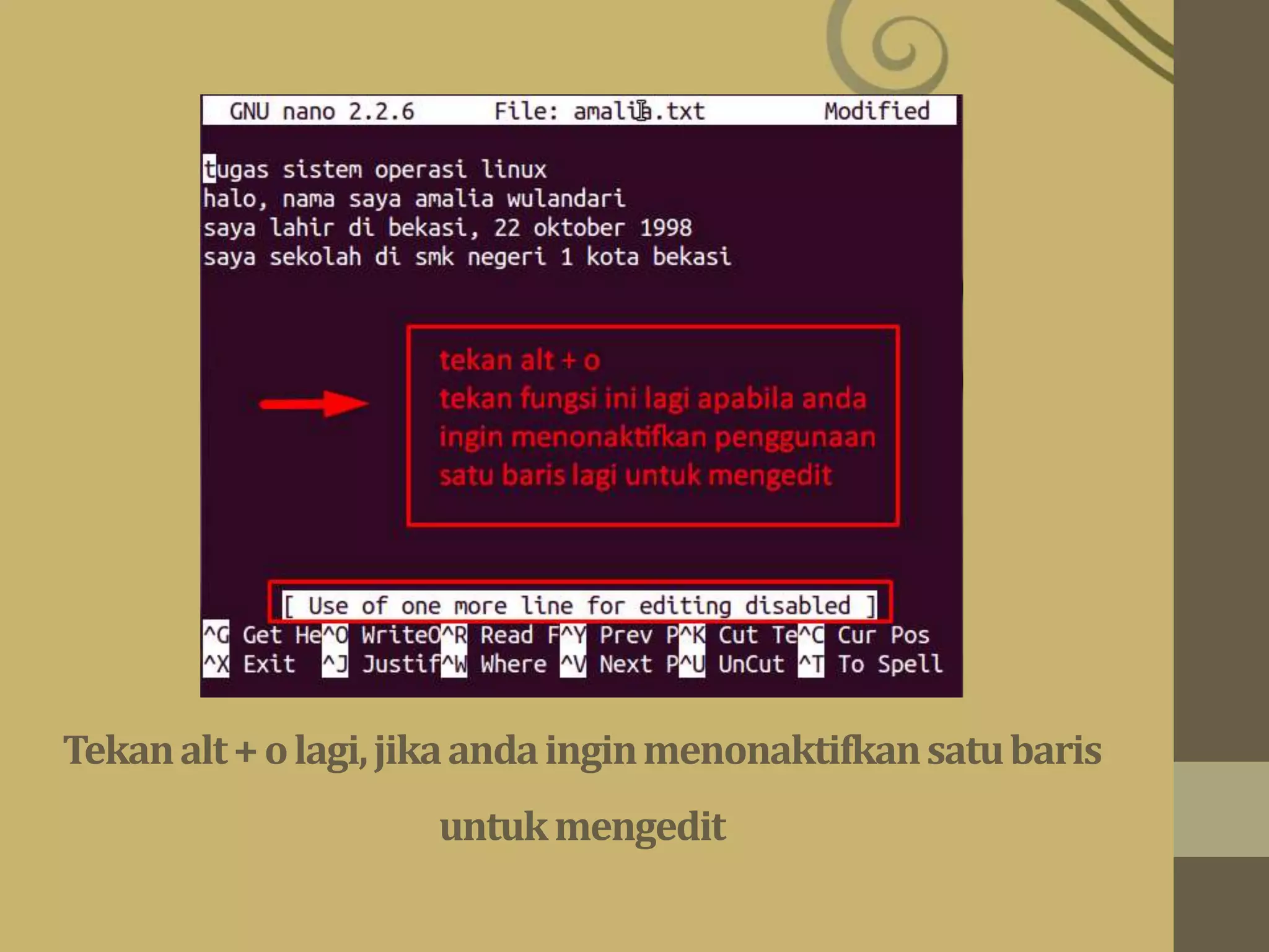 Tekanalt+olagi,jikaandainginmenonaktifkansatubaris
untukmengedit
 