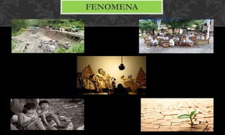 FENOMENA
 