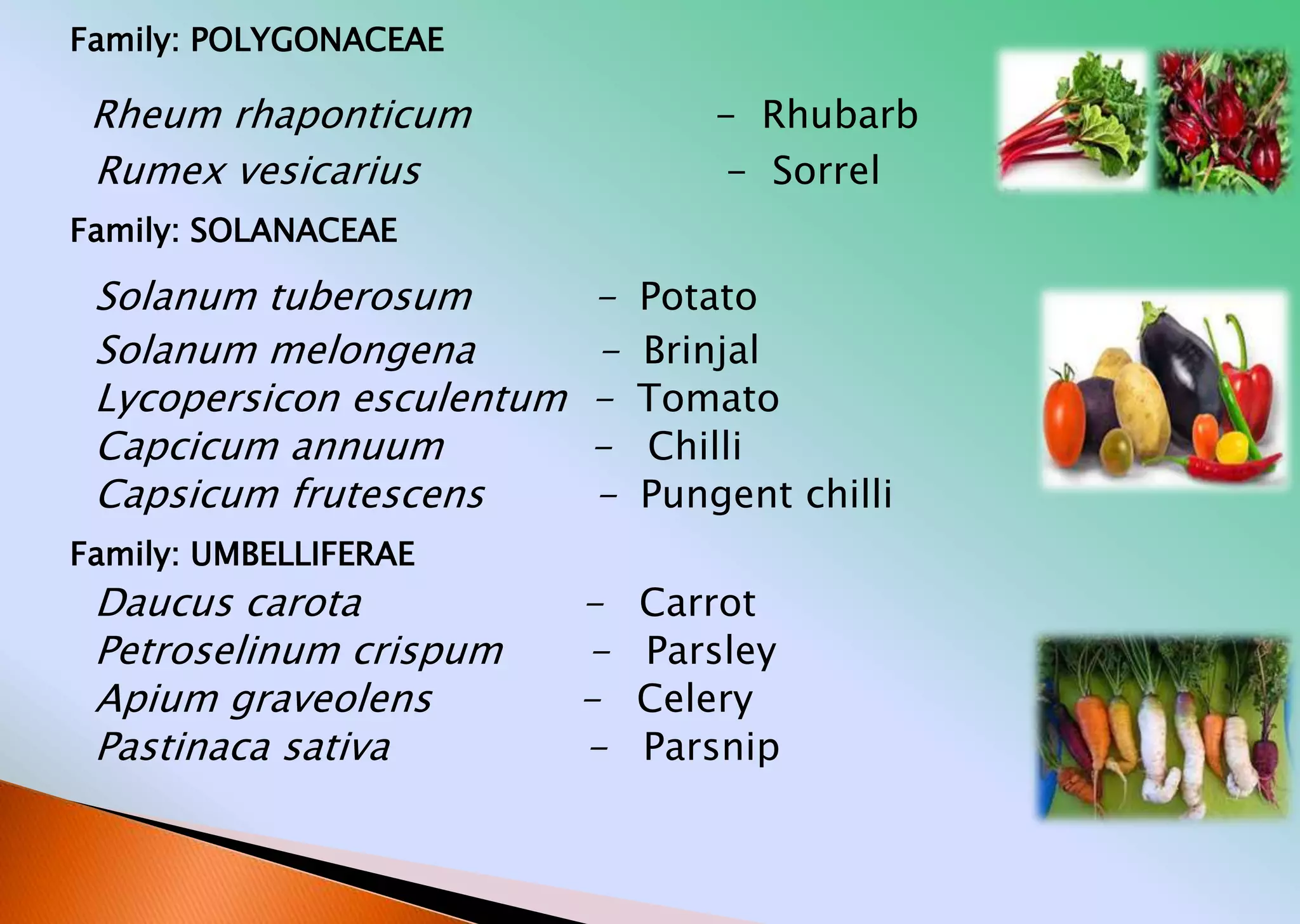 Rose Family Rheum teksingh PPT classess .of vegetable | PPTX
