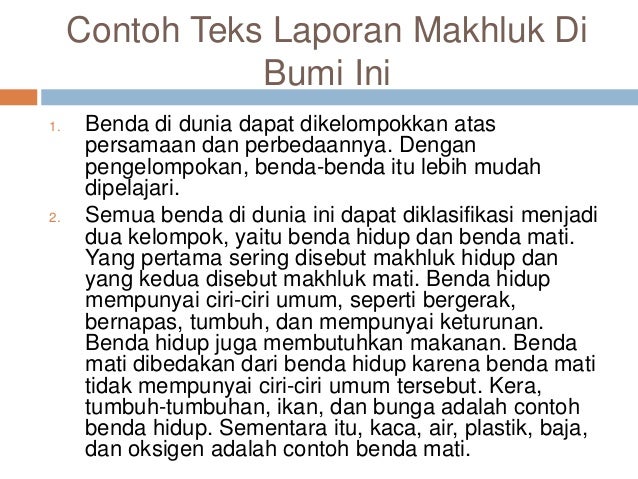 Teks laporan hasil observasi