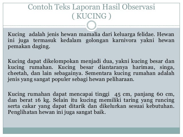 Contoh Hasil Observasi Remaja - Mika Put