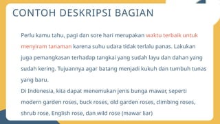 Layu In English Teks LHO pada pembelajaran mendalam.pptx